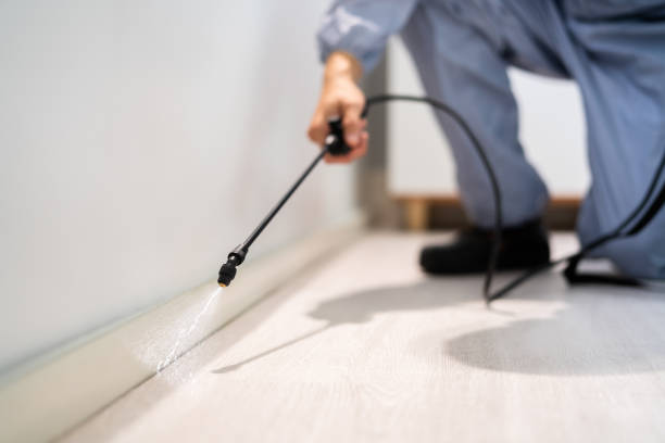 Licensed Pest Control service in North Crossett, AR - Show Me Pest Control