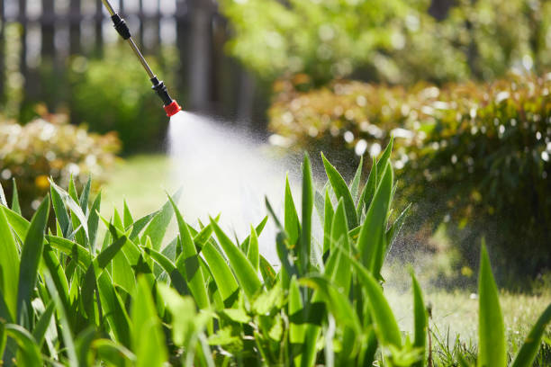 24/7 Emergency Ant Control experts in North Crossett, AR
